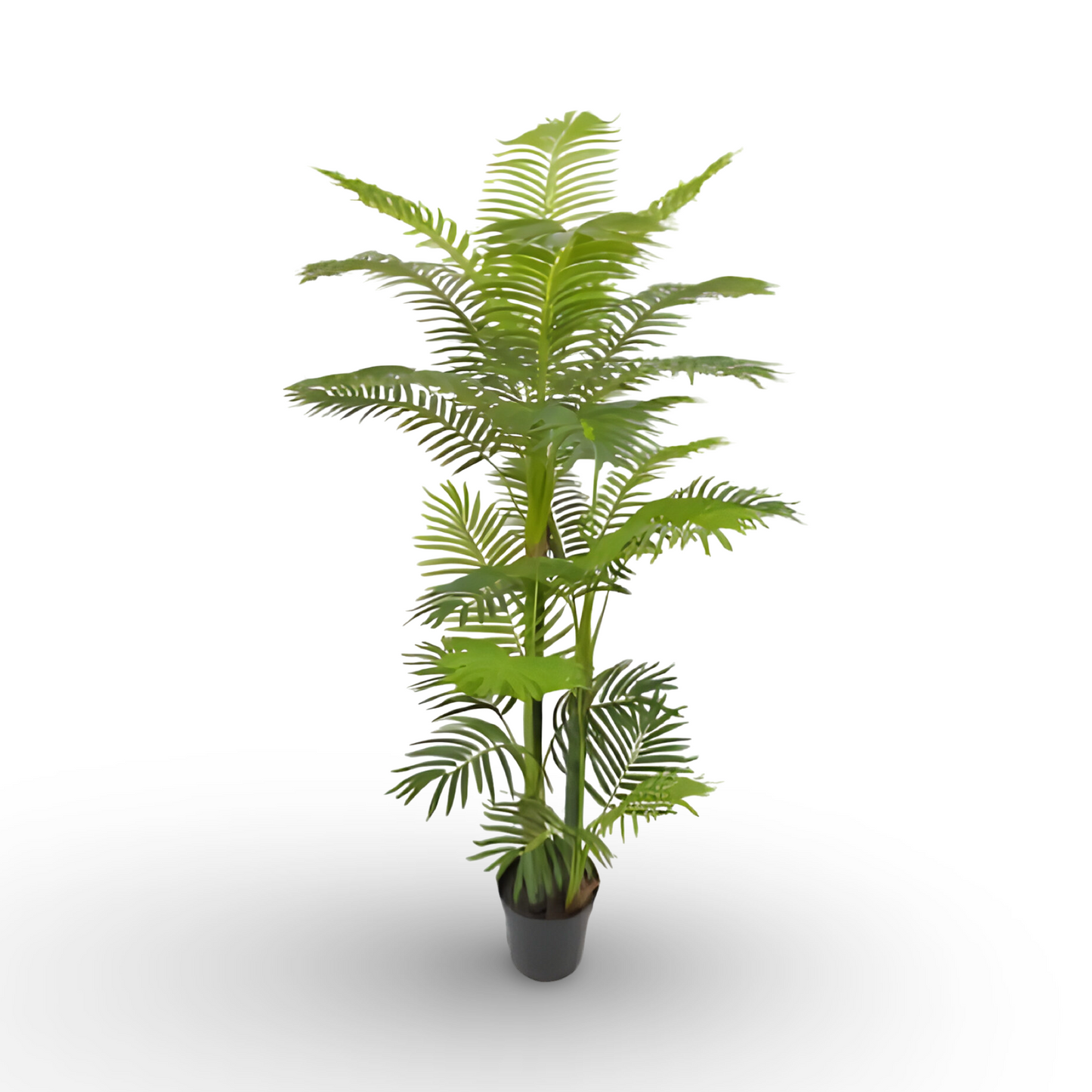 Bamboo Palm Tree 150cm