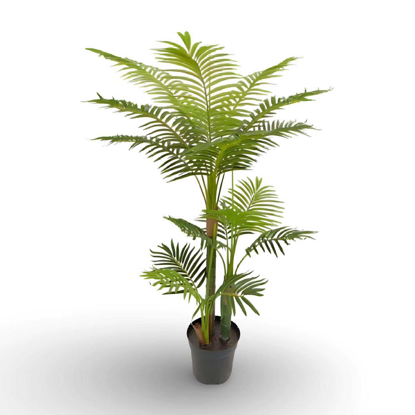 Bamboo Palm Tree 120cm