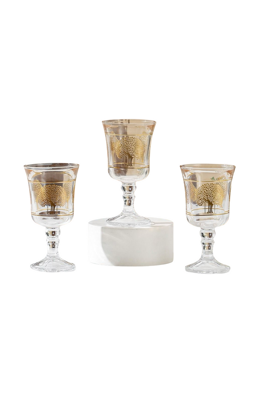 Momaz DrinkCup 12 Pcs