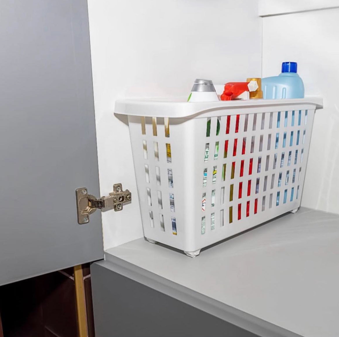 Compile Maxi Organizer