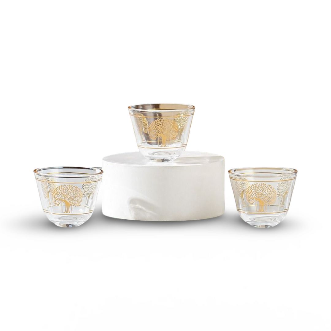 Momaz Coffee Cups 12Pcs