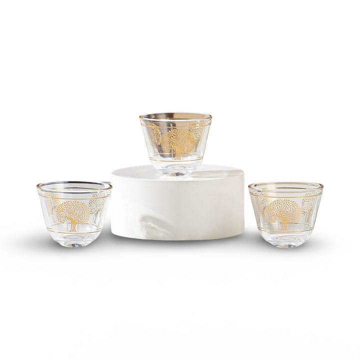 Momaz Coffee Cups 12Pcs