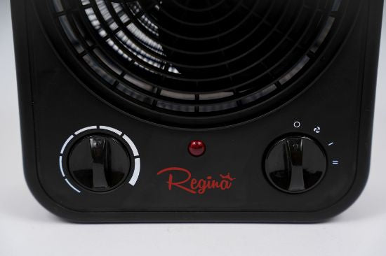 Regina Heater 2000 W