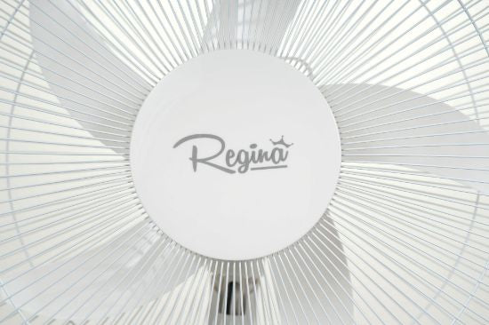 Regina Rehargebale Stand Fan 16