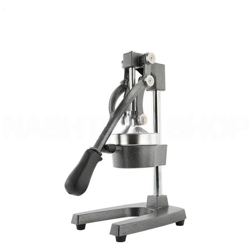 GeBe Manual Stainless Steel Juicer