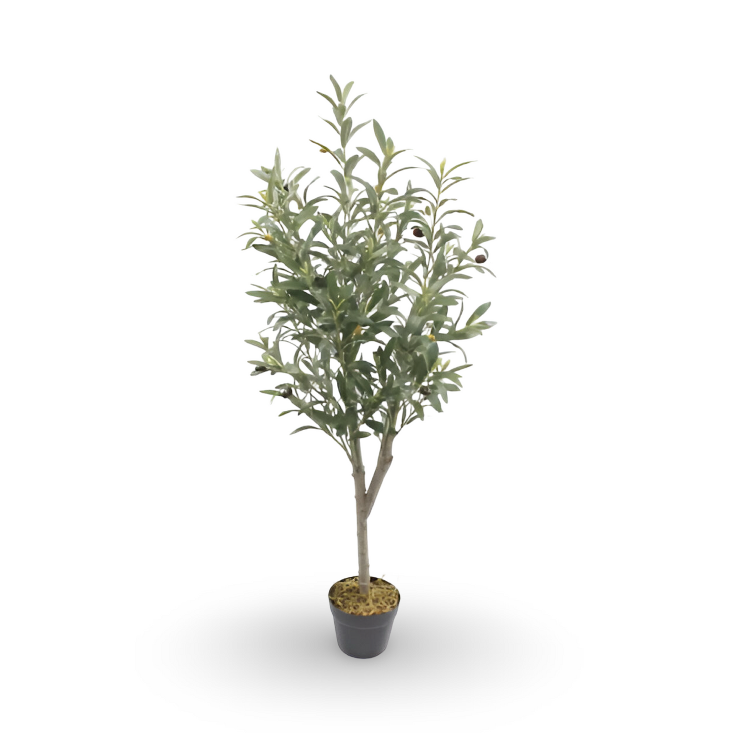 Wooden Olive Tree 120cm