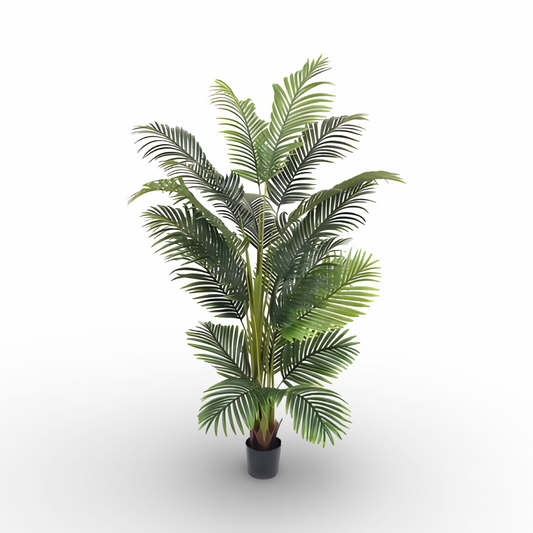 Palm Tree 200cm