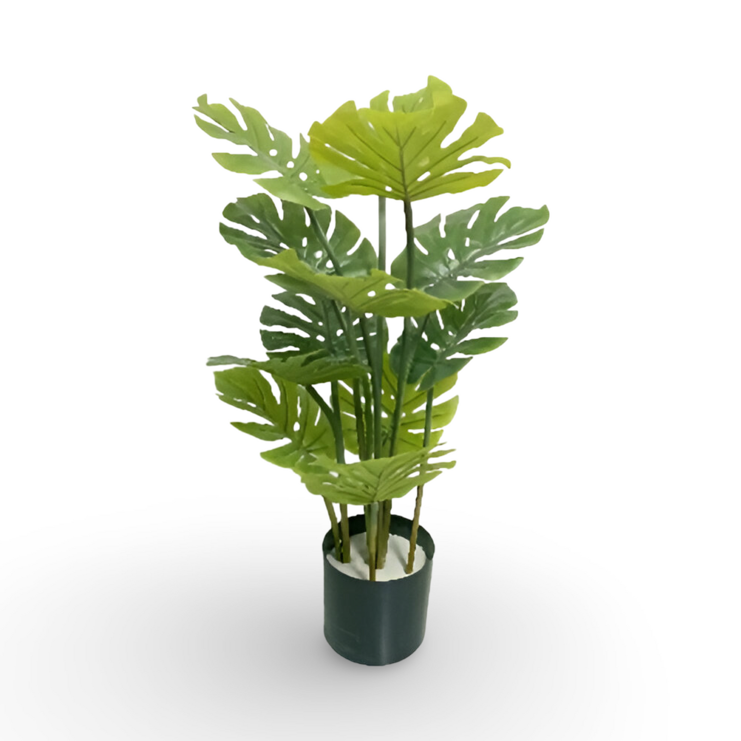 Monstera Tree 120cm