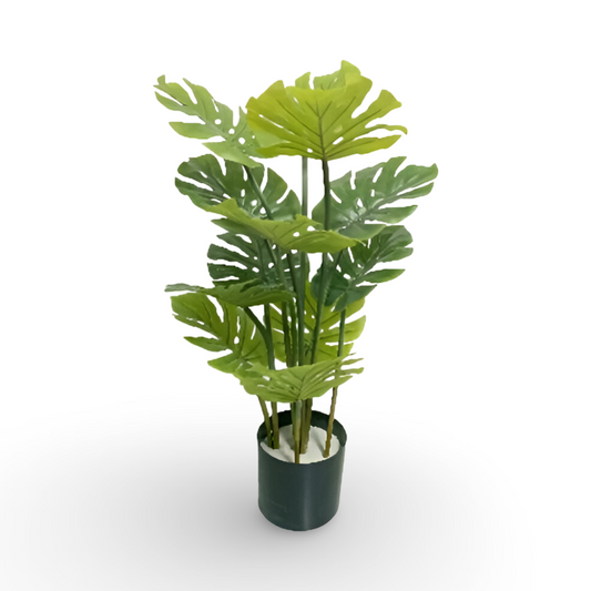 Monstera Tree 120cm