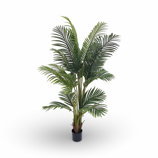 Palm Tree 170cm