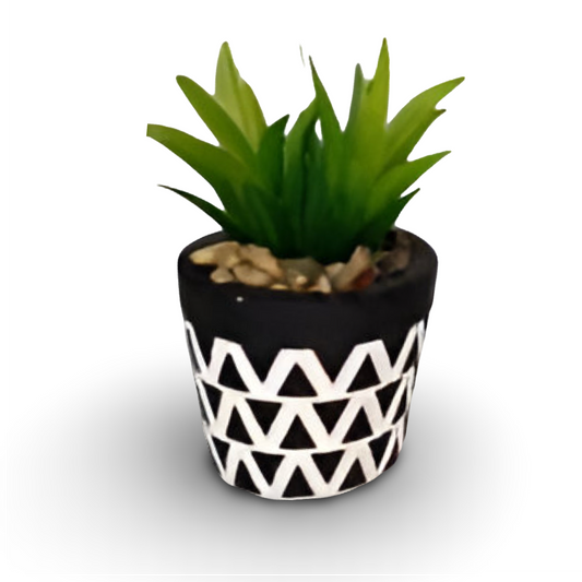 Succulent Bonsai 10.5cm