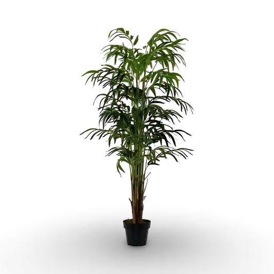 Bamboo Palm Tree 170cm