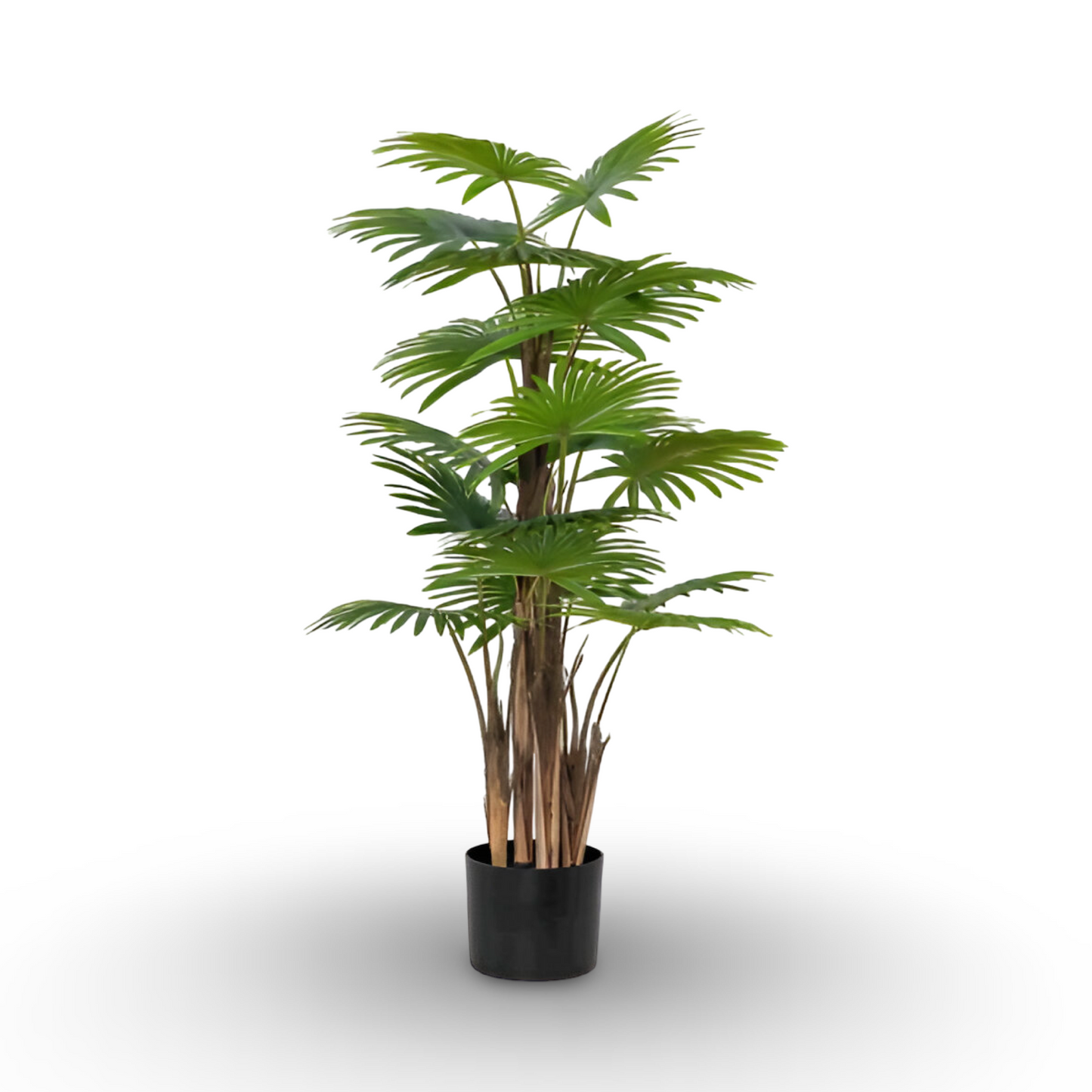 Fan Palm Tree 120cm