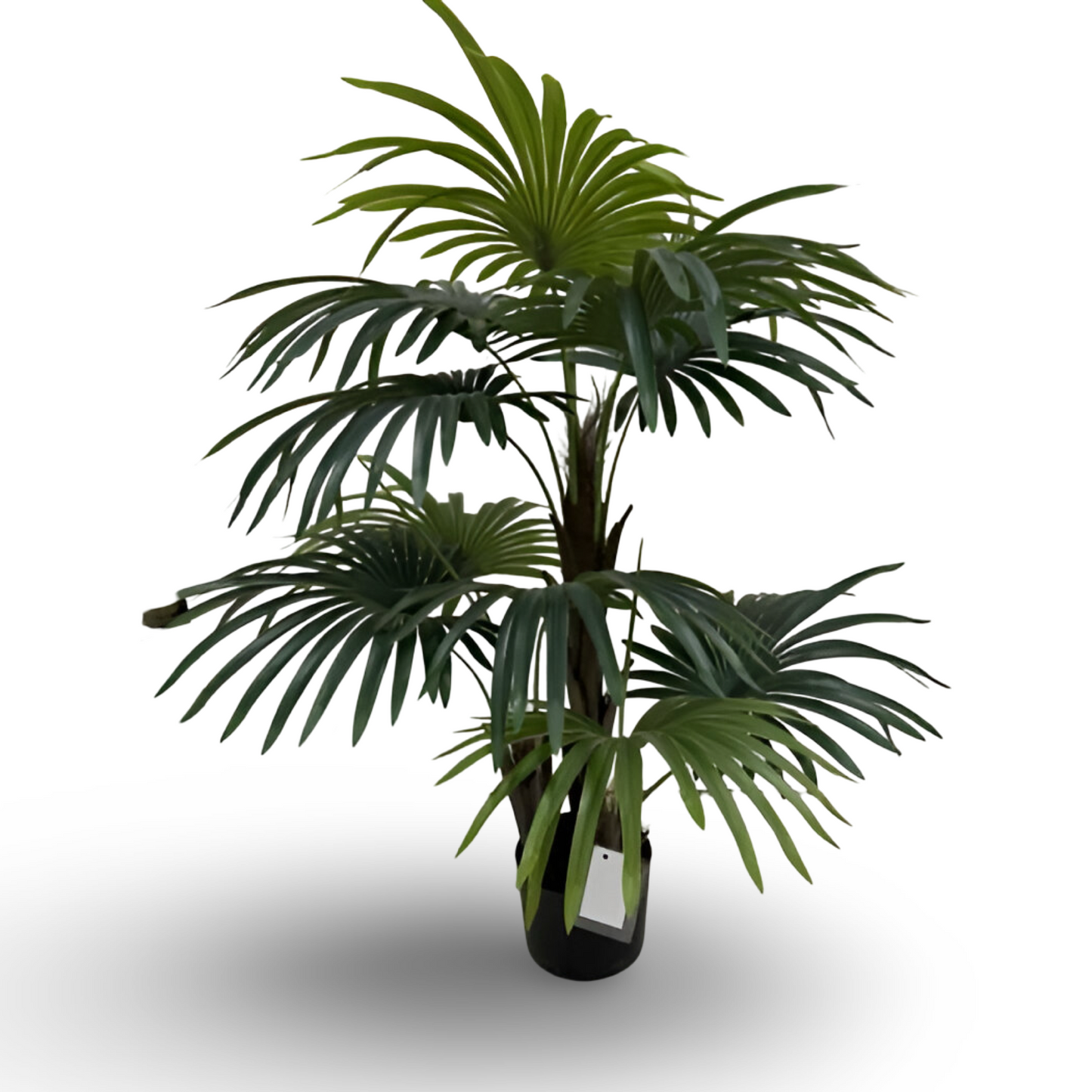 Fan Palm Tree 90cm