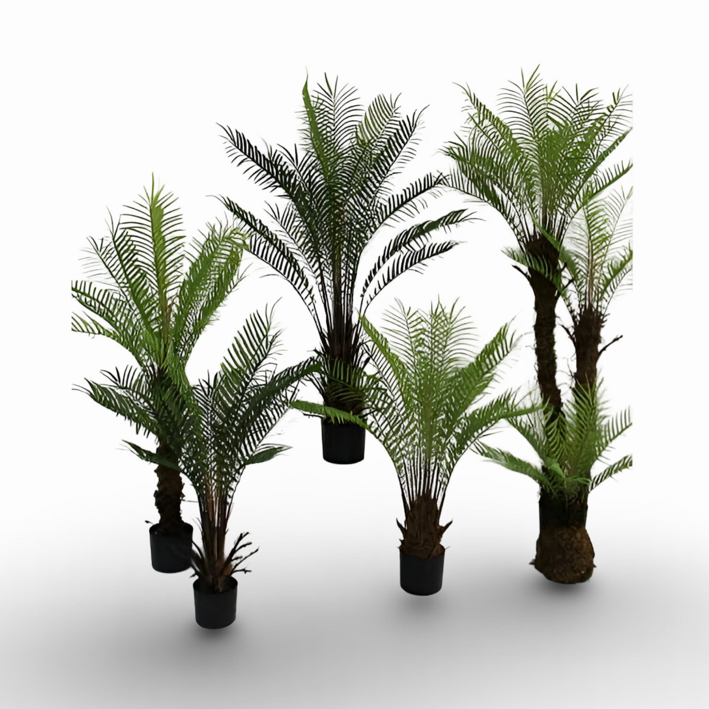 Fern Tree 110cm