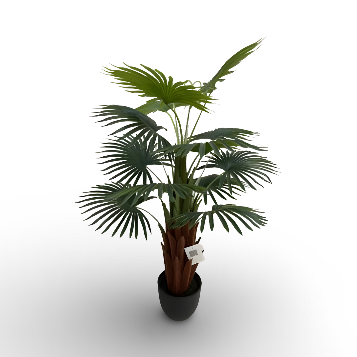 Fan Palm 150cm