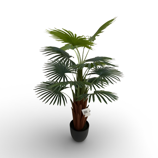 Fan Palm 150cm