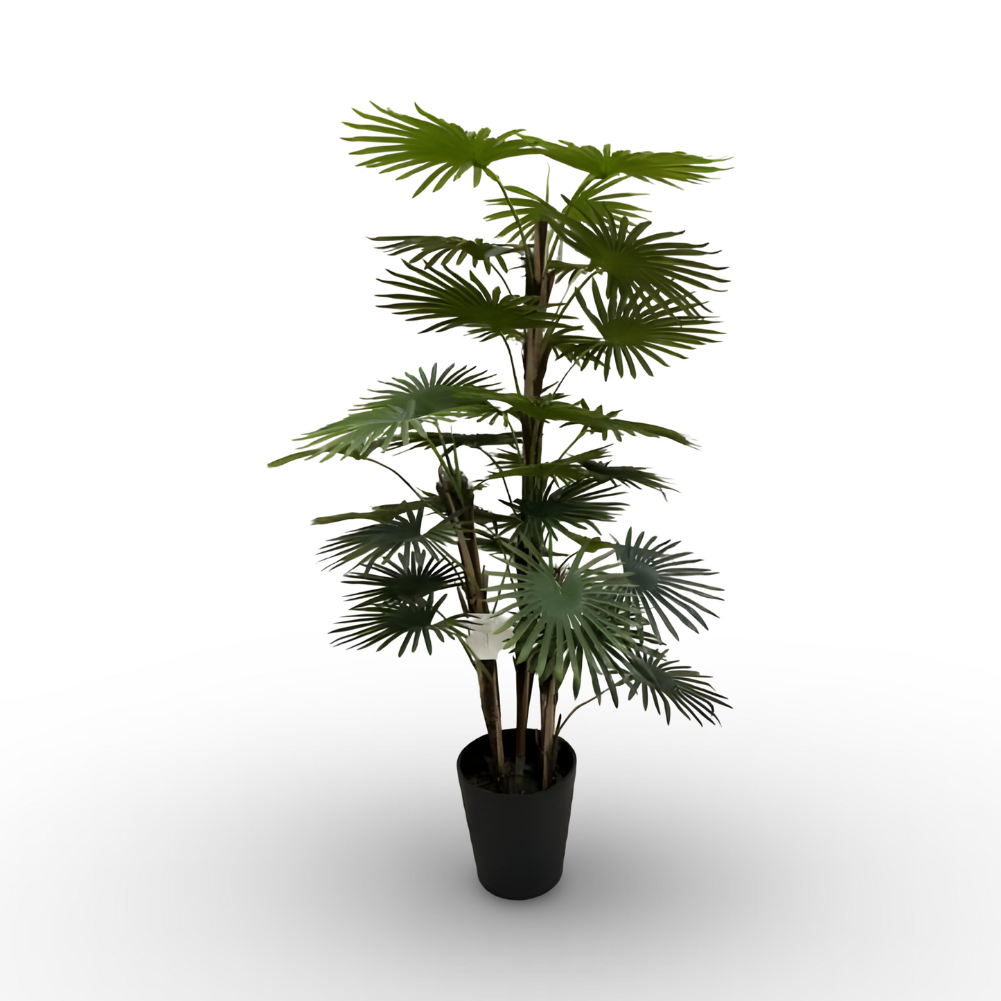 Fan Palm Tree 120cm