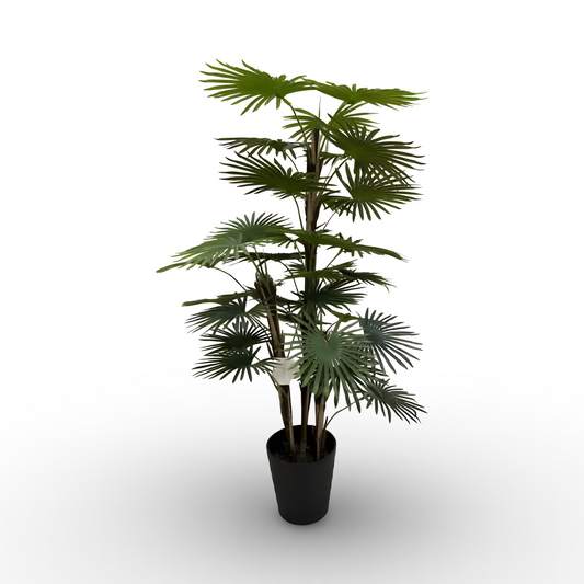 Fan Palm Tree 120cm