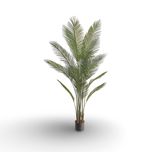 Needle Palm Tree 180cm
