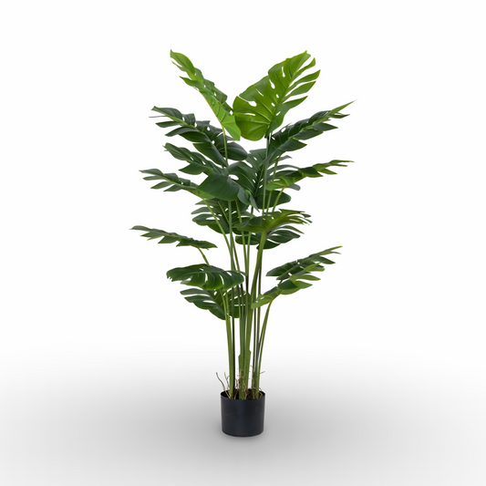 Monstera Tree 145cm