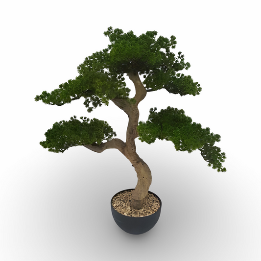 Pine Bonsai 81cm