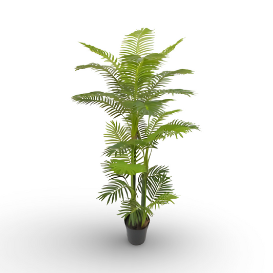 Bamboo Palm Tree 150cm